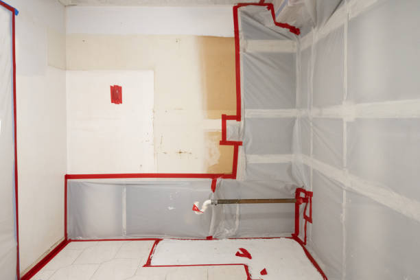  Minden, NE Mold Removal Pros